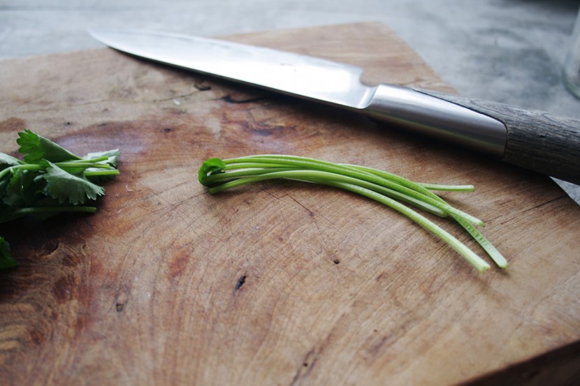 cilantro