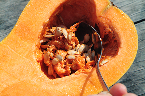 roasted_pumkin_salad03